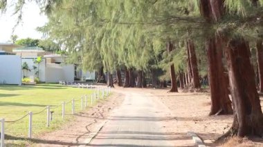 Phuket 'teki Mai Khao Sahili' nde ağaçlarla ve beyaz çitlerle kaplı sakin bir patika. Gün ışığında ele geçirildi.