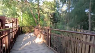 Bereketli yeşillikte huzurlu bir gezinti