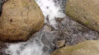 Mossman Vadisi 'ndeki kayaların üzerinden yemyeşil bir dere akıyor. Doğal ışıklandırma berrak su ve canlı yosunları vurgular