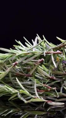 Bir demet taze biberiye, parlak siyah bir yüzey üzerinde yavaşça döner, stüdyo ışıkları, aydınlatma dokusu ve canlı yeşil renkler tarafından aydınlatılır.