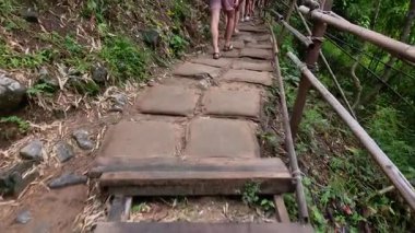 Tayland 'da manzaralı bir orman yolunu keşfetmek