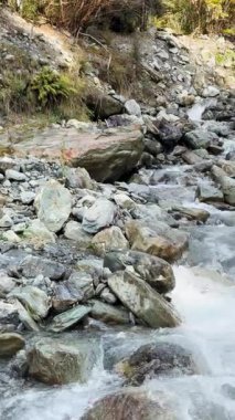 Hızlı hareket eden bir buzul akıntısı, verimli bir orman ortamında kayaların üzerinde çağlayarak sabit bir kamera açısı ve doğal ışıklandırmayla gün ışığında yakalanır.