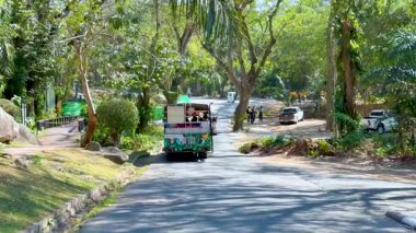 Araba Chonburi, Tayland 'da manzaralı hayvanat bahçesi yolunda seyahat ediyor.