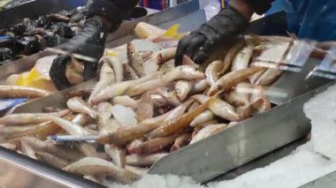 Pazarda balık sıralayan işçiler