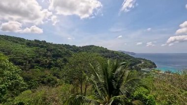 Phuket, Tayland 'daki yemyeşil ve okyanusun sakin panoramik manzarası. Gün ışığında, yumuşak kamera hareketiyle.