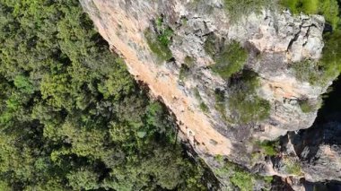 Drone görüntüleri Avustralya 'daki gür okaliptüs ormanları arasında Nimbin Kayaları' nın engebeli ryolit oluşumlarını yakalar.