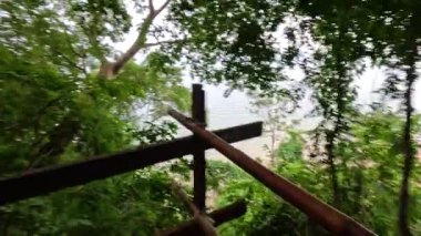 Yeşillik orman manzarasında yükselen ahşap adımlar