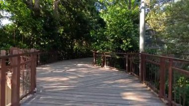 Melbourne Hayvanat Bahçesi 'ndeki yemyeşil alanda ahşap yol