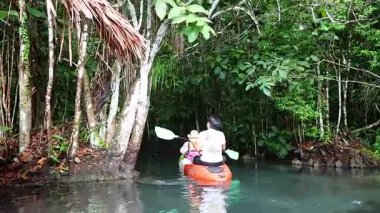İki insan yemyeşil, tropik bir kanalda kayak yapıyor.