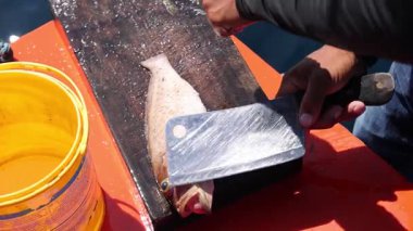 Teknede satırla balık hazırlıyorum.