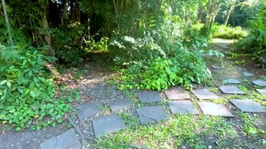 Bangkok 'un Rama IX Parkı' nda yemyeşil ve benekli güneş ışığıyla çevrili sakin bir bahçe yolu.