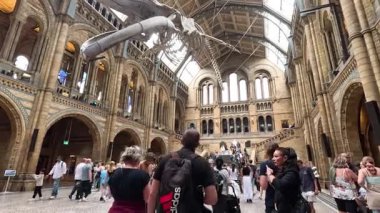 Kalabalık balina iskeletinin altındaki müzeyi araştırıyor.