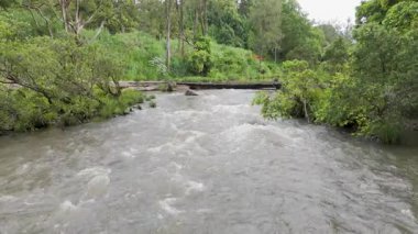 Nehir ve çevreleyen yeşilliklerin havadan görünüşü