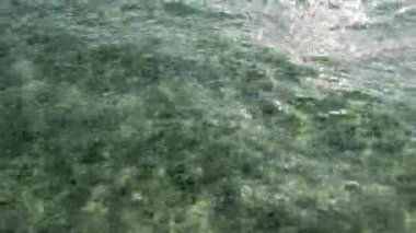 Güneş ışığı, berrak yeşil okyanus dalgalarına yansıyor