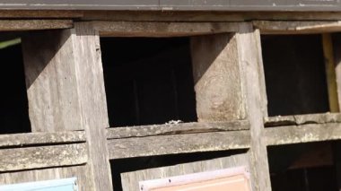 Bir insan eli spor salonunun teçhizat rafından renkli halterlerle metal bir çubuk bağını seçer ve çıkarır. 