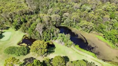 İnsansız hava aracı ormanı, evleri ve golf sahasını ele geçirdi