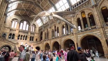 Kalabalık mavi balina iskeleti sergisini araştırıyor