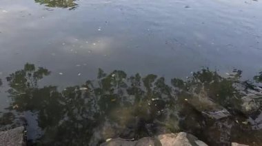 Yumuşak dalgalar su altındaki kayaların üzerinde hareket eder.