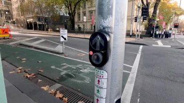 Yaya geçidinde düğmeye basan kişi