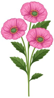 Detaylı yeşil yapraklı üç pembe çiçeğin vektör çizimi. Parlak renkler ve temiz çizgiler yeni ve canlı bir görünüm yaratır.