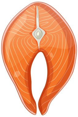 Canlı renklerde somon bifteğinin ayrıntılı vektör çizimi, mutfak temalı tasarımlar için ideal.