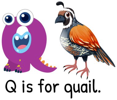 Q harfinin renkli bir temsili, oyuncu bir canavar ve detaylı bir bıldırcın. Eğitim materyalleri için mükemmel