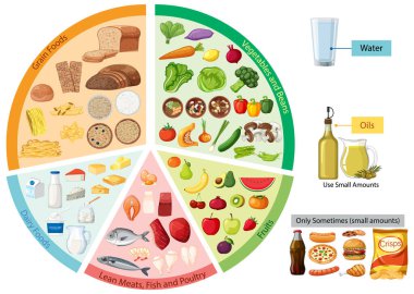 Etiketli bölümler, düz tasarım, açık simgeler ve kopyalama alanı ile besin gruplarına ayrılmış dengeli bir yemek tabakasının renkli vektör çizimi