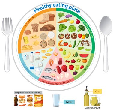 Dengeli bir yemek tabağının renkli vektör diyagramı, etiketli yemek gruplarını kategorize etmek, düz tasarım tarzı ve net görsel organizasyon