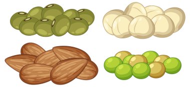 Badem, macadamia fındığı, yeşil zeytin ve fıstık renkli vektör çizimleri izole edilmiş gruplar halinde temiz hatlar ve yumuşak gölgelendirilmiş fıstıklar.