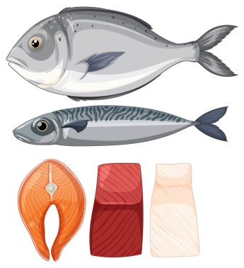 İki tam balık ve üç farklı balık filetosunun detaylı vektör çizimi. Temiz çizgiler, düz renkler ve beyaz bir arkaplan kullanarak.