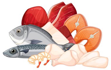 Çiğ et, somon, balık, karides ve tavuk parçalarının rengarenk vektör çizimi, temiz çizgiler ve gerçekçi gölgeleme ile bir araya getirilmiş.