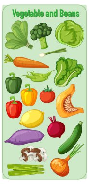 Açık yeşil bir arkaplanda düzenlenmiş çeşitli sebze ve fasulyelerin parlak vektör çizimi, temiz dış hatlar ve eğitici kullanım için canlı renkler