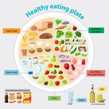 Sağlıklı yiyecek gruplarına ayrılmış renkli bir yemek tabağı bilgisi.