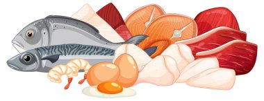 Protein zengini gıdaların düz vektör çizimi: balık, karides, yumurta, tavuk ve kırmızı et.