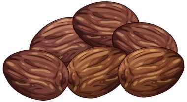 Tam hindistan cevizi tohumu kümesi, detaylı vektör stili, toprak kahverengi tonlar, beyaz üzerinde izole.