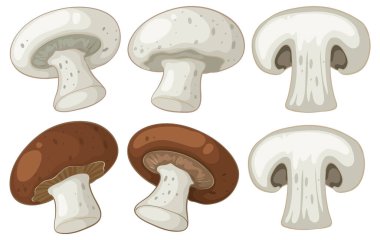 Beyaz üzerine izole edilmiş, el yapımı beyaz düğme ve kremini mantarlar..