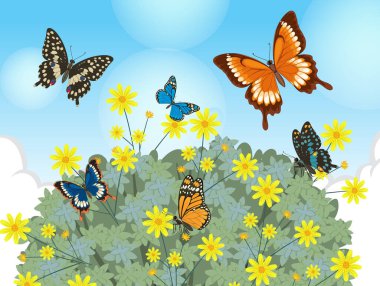 Renkli kelebekler, açık mavi gökyüzünün altında çiçek açan sarı kelebekler, detaylı vektör sanatı..