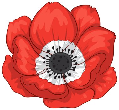 Detaylı taç yapraklı parlak kırmızı anemon çiçeği, siyah merkez, düz vektör biçimi, beyaz arkaplan