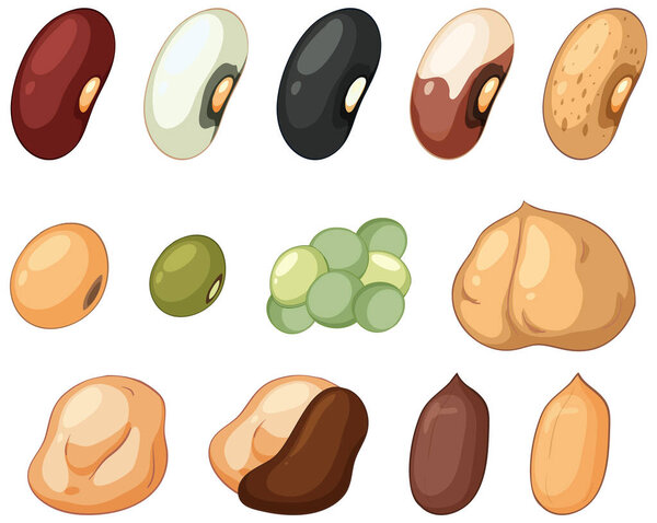 Цветные векторные иллюстрации фасоли и бобовых в плоском мультяшном стиле с чистыми контурами.