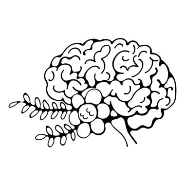 İnsan beyninin çiçek açtığının bir yansıması.