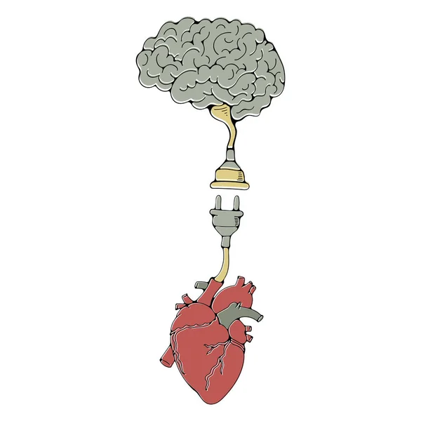 Cérebro Coração Conectando Uns Aos Outros Com Plugue Elétrico Vetor De Stock