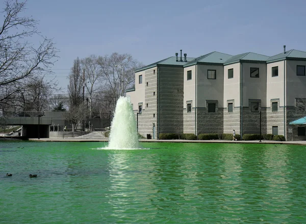 Indianapolis Usa March Undentified Girl Walk Green Dyed Indy Canal — стокове фото