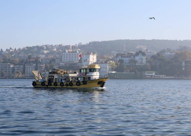 BUYUKADA, İSTANBUL, TURKEY-NOVEMBER 05.2021: Sarı Gemi Büyükşehir Adası 'ndan ayrılıp İstanbul' a gidiyor