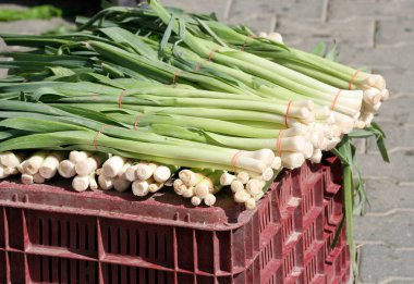 Adana, Türkiye 'deki Yerel Çiftçi Pazarı' nda Taze Pırasa Satılıyor