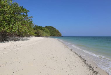 Tayland, Phuket 'teki Rang Yai Adası' nda beyaz kumları ve tropikal ağaçları olan huzur dolu bir sahil.