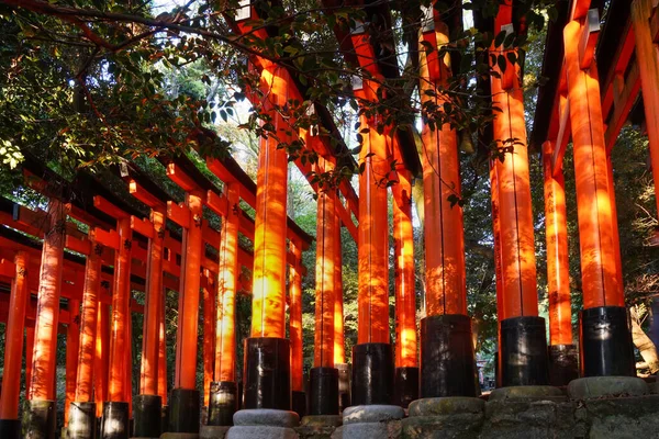 Portas Torii Santuário Inari Fushimi Kyoto — Fotografia de Stock