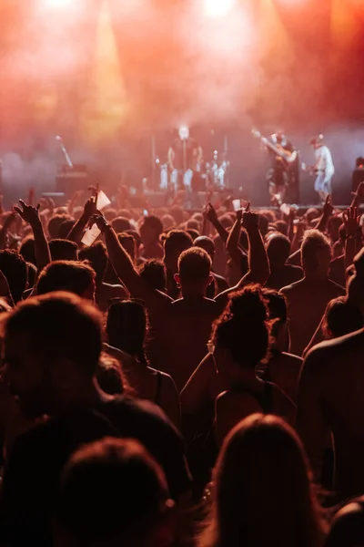 Auf Einem Jungen Einer Menschenmenge Die Während Einer Musikshow Barcelona — Stockfoto