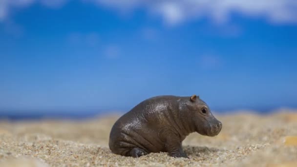 Смена Игрушечных Животных Песчаном Пляже Облаками Движущимися Позади — стоковое видео