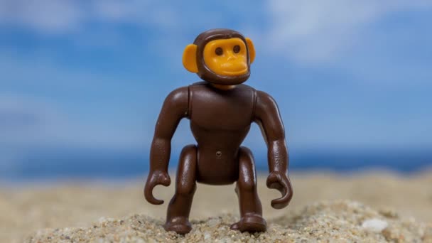 一只玩具猴子在沙滩上 云彩在后面移动 — 图库视频影像