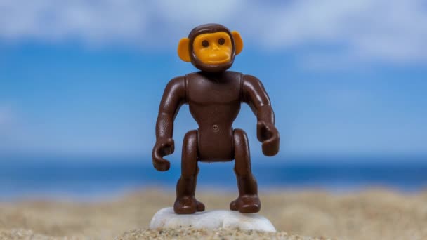Zabawkowa Małpa Piaszczystej Plaży Chmurami Plecami — Wideo stockowe